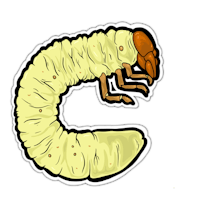 a sticker of a caterpillar on a black background