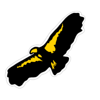 a black and yellow eagle logo on a black background